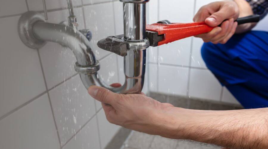 Leak Detection Services in Sparrow Bush, NY